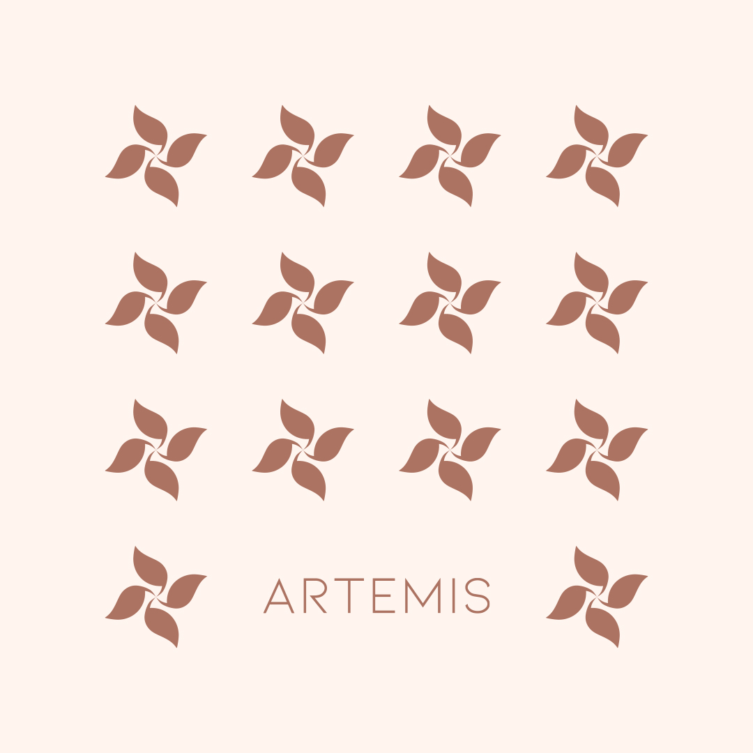 Artemis — image 3