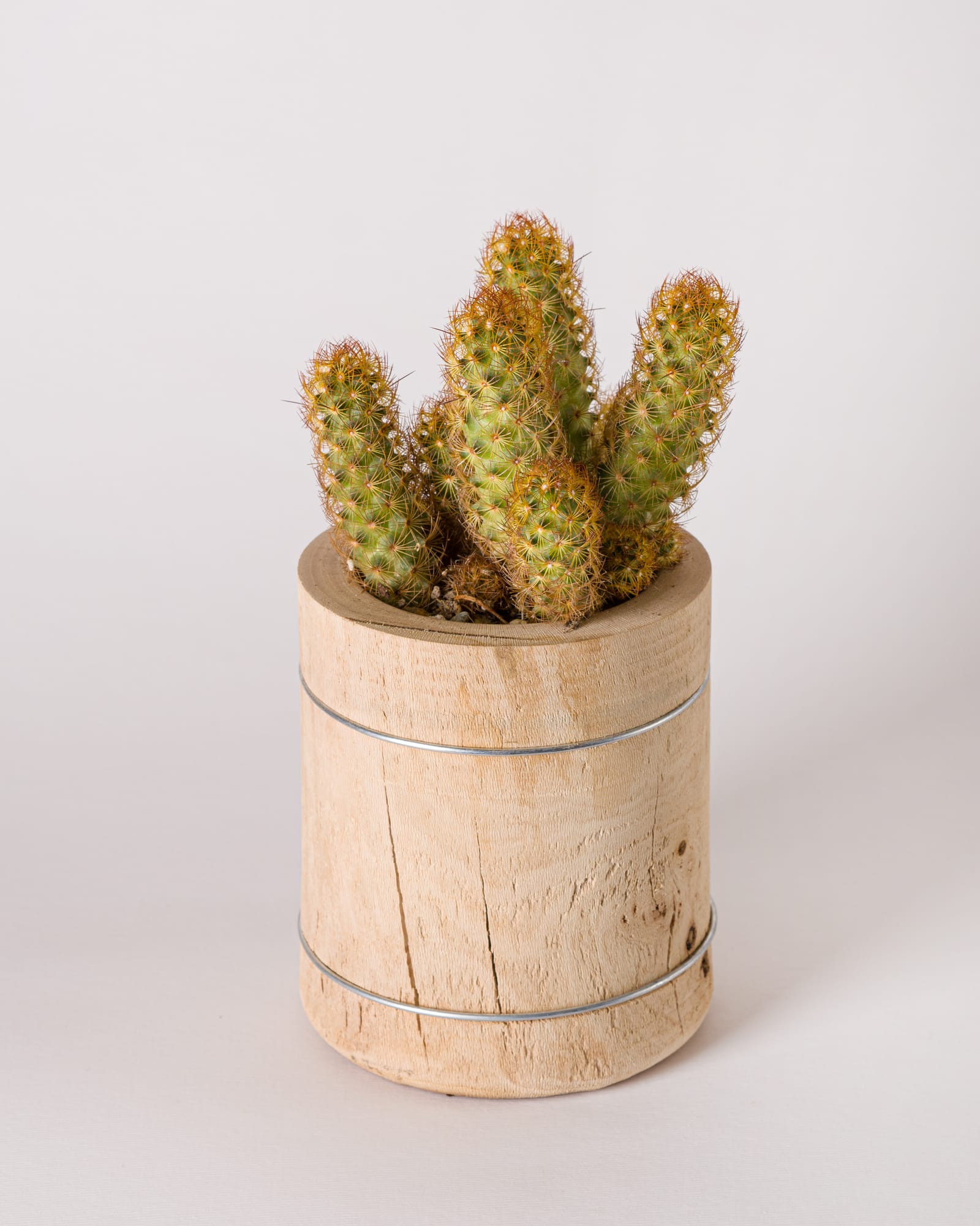 Objects — image 9
