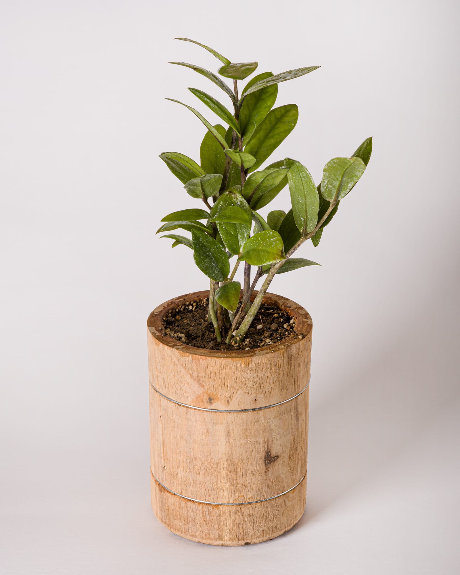 Objects — image 10