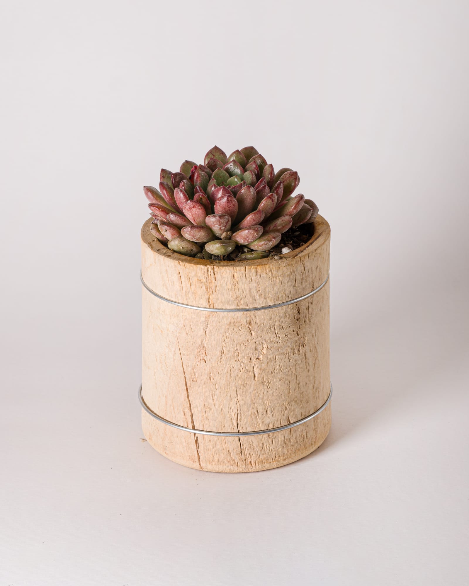 Objects — image 12
