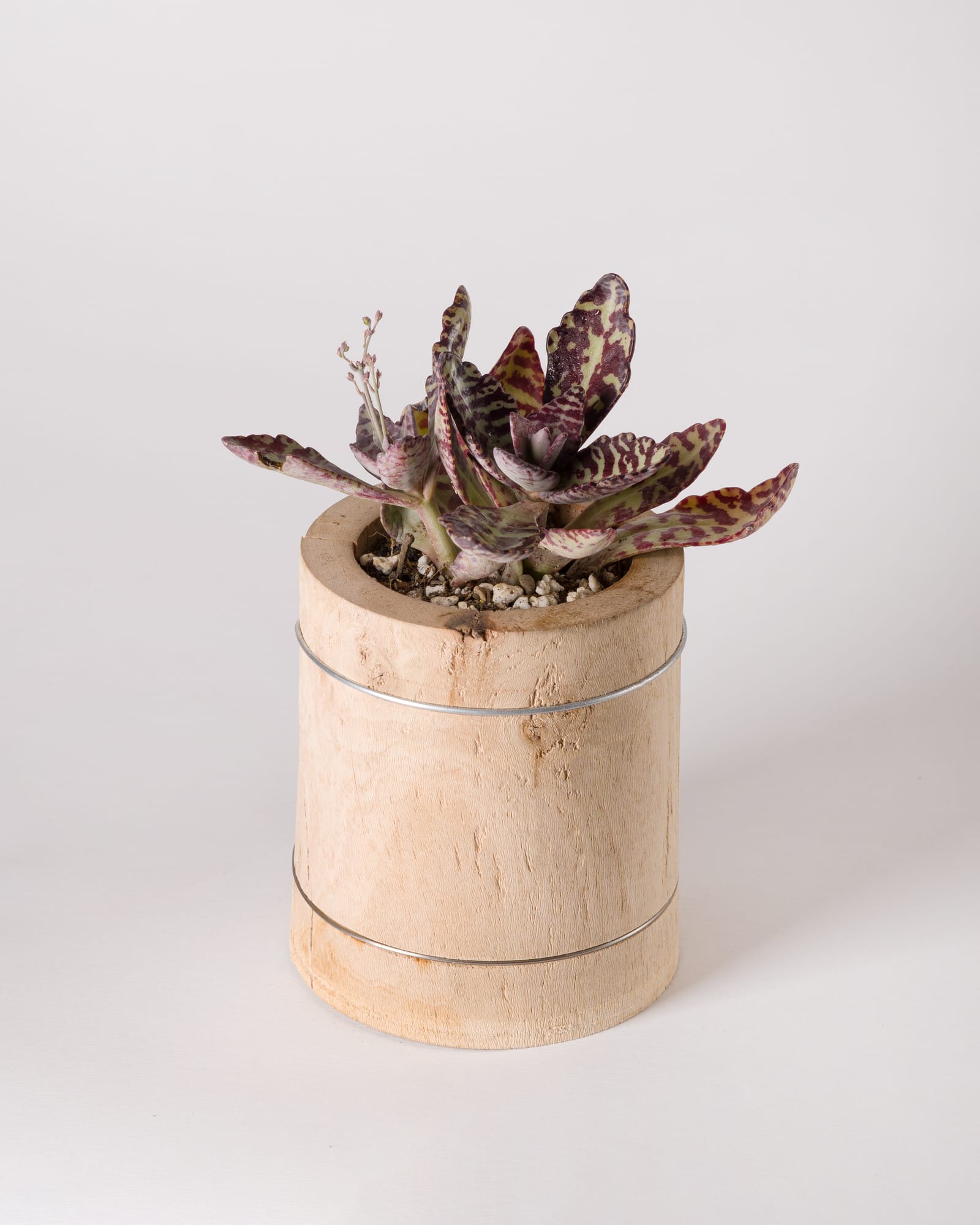 Objects — image 16